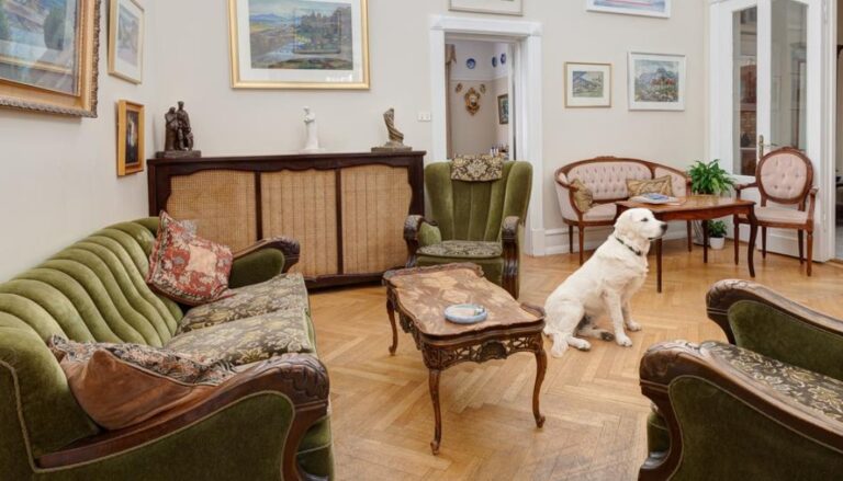 top-pet-friendly-hotels-for-a-perfect-vacation-with-your-furry-friends