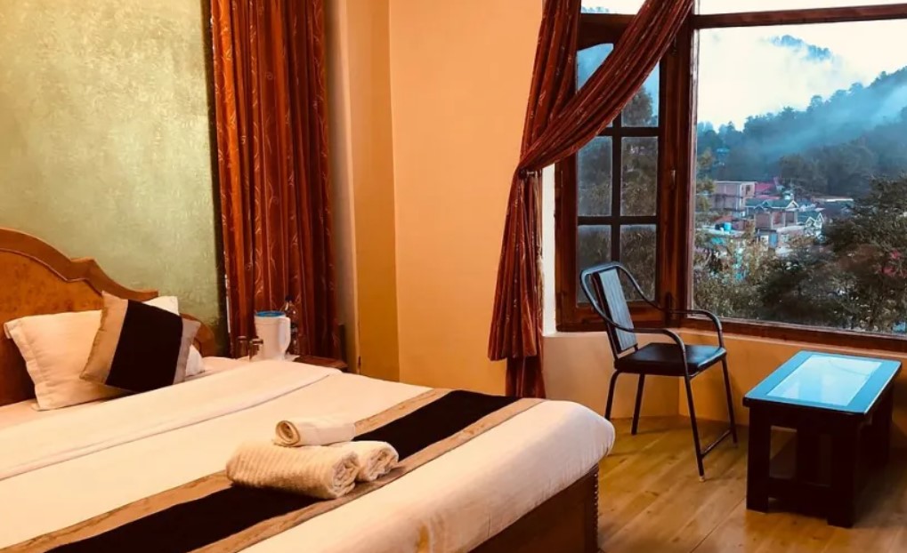 How-to-Maximize-Your-Pets-Stay-in-a-Luxury-Hotel