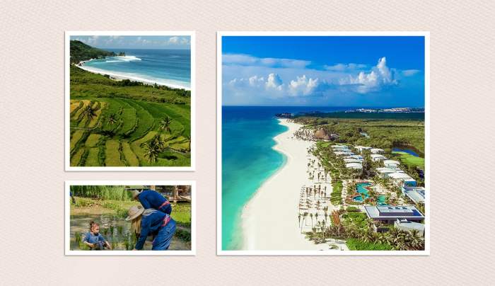 Hotels That Offer Cultural Workshops and Local Tours