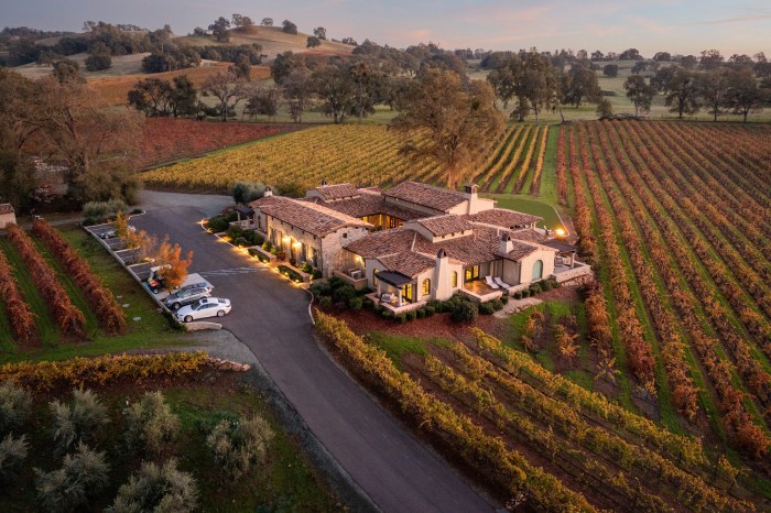 Hotels with Wine Tasting Events and Vineyard Access
