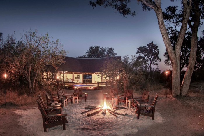Best Hotels with Wildlife Encounters and Safari Access