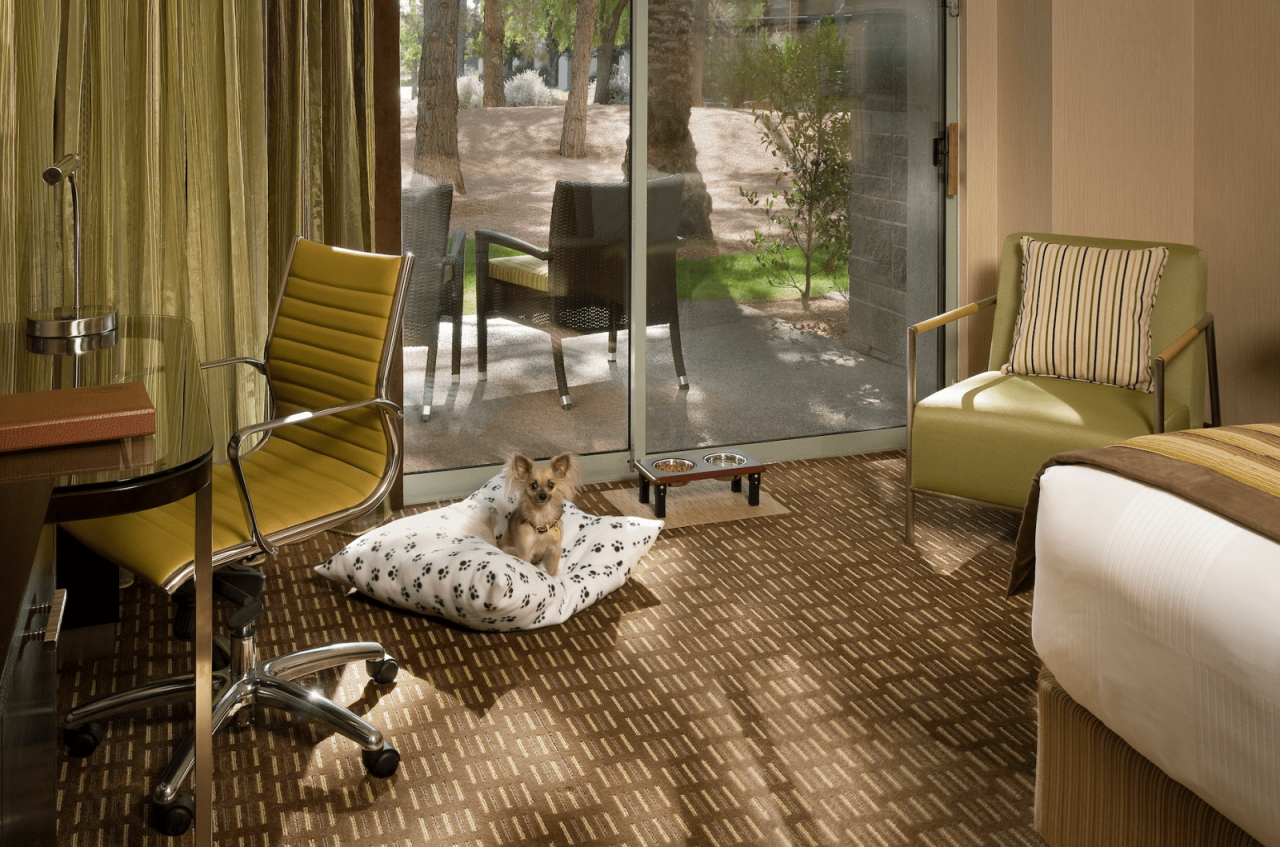 Hotels with Pet Spas and Dog-Friendly Services