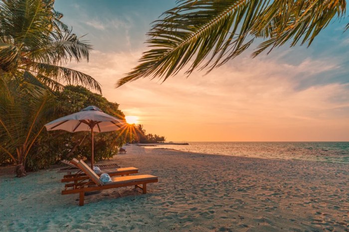 Best Hotel Chains for Earning Travel Rewards in 2025
