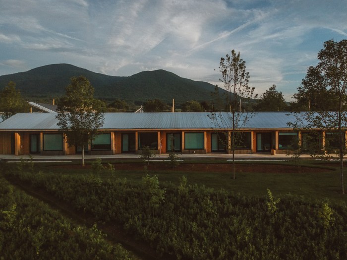 Hotels That Offer Cultural Workshops and Local Tours